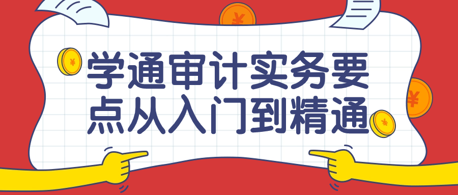 学通审计实务要点从入门到精通课 - 吾爱软件库